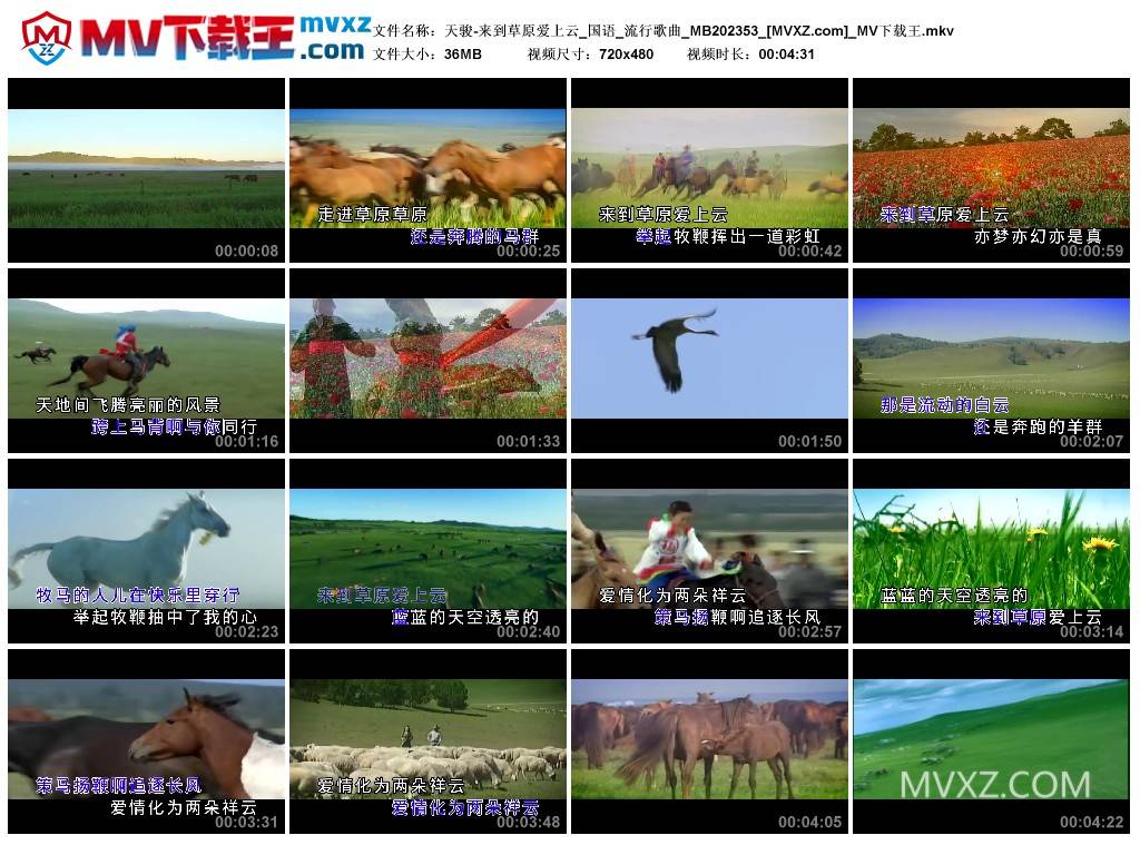 天骏-来到草原爱上云_国语_流行歌曲_MB202353